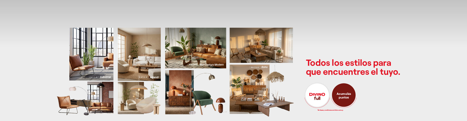 ESTILOS DIVINO s/financiera