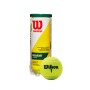 Lata de 3 Pelotas Tenis Champ Rd Tball 3 Ball Can Unisex Green