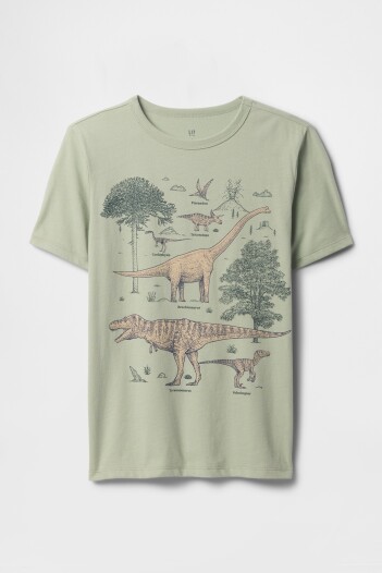 Remera Gráfico Niño Desert Sage