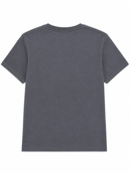 REMERA DENA VARIANTE 4.