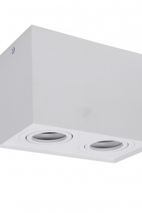 Foco Interior 2 Luces Cromado Para Techo Blanco