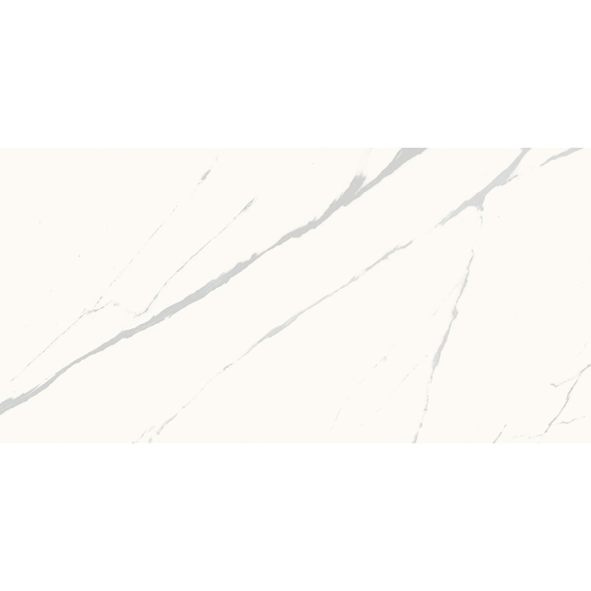 Porcelanato Calacatta Calma Pol 60x120 Cm 