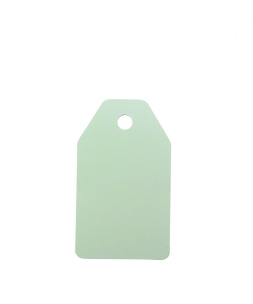 Tag rectangular liso 5x8,5 VERDE AGUA