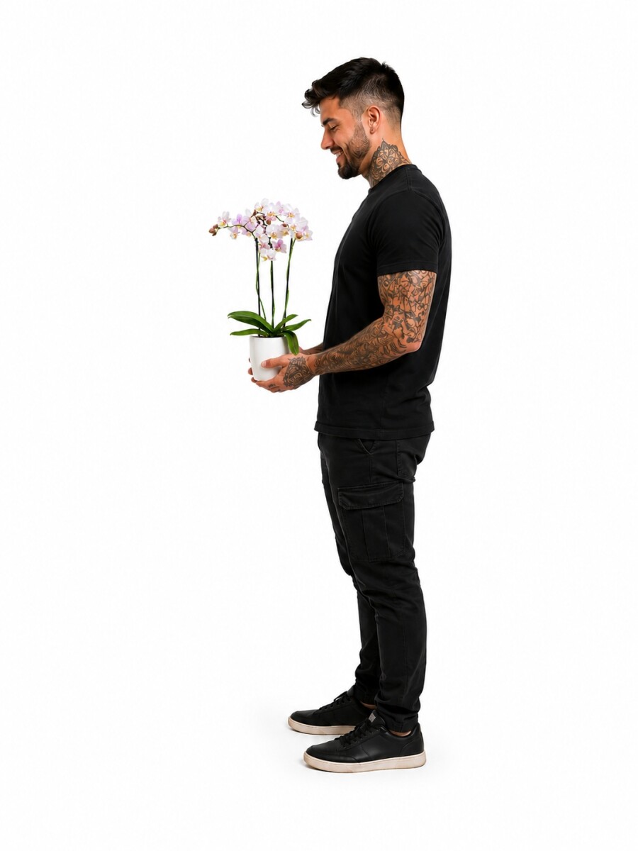 ORQUÍDEA MINI CON MACETA BLANCA