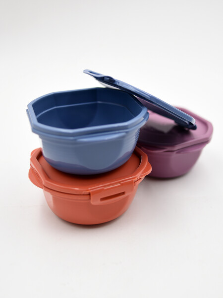 RECIPIENTE 450 ML MULTICOLOR