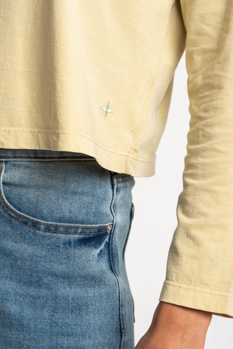 Remera Manga Larga Lavada Pistacho