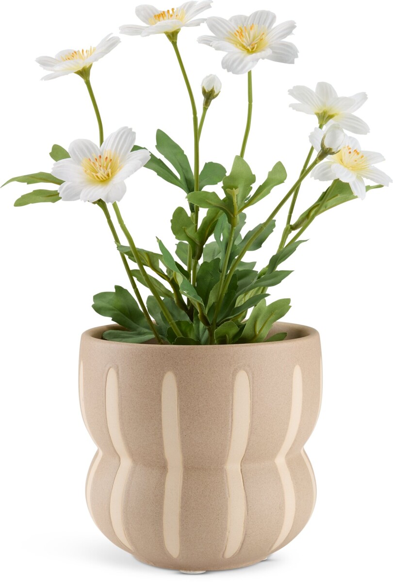 Maceta JERRY Ø14xA13cm beige con rayas 