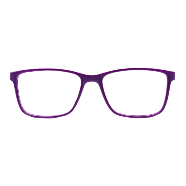 KE346523 violetauniforme