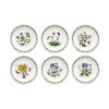 PORTMEIRION BOT GARDEN PLATO PAN 16,5 CM SET x 6 PORTMEIRION BOT GARDEN PLATO PAN 16,5 CM SET x 6