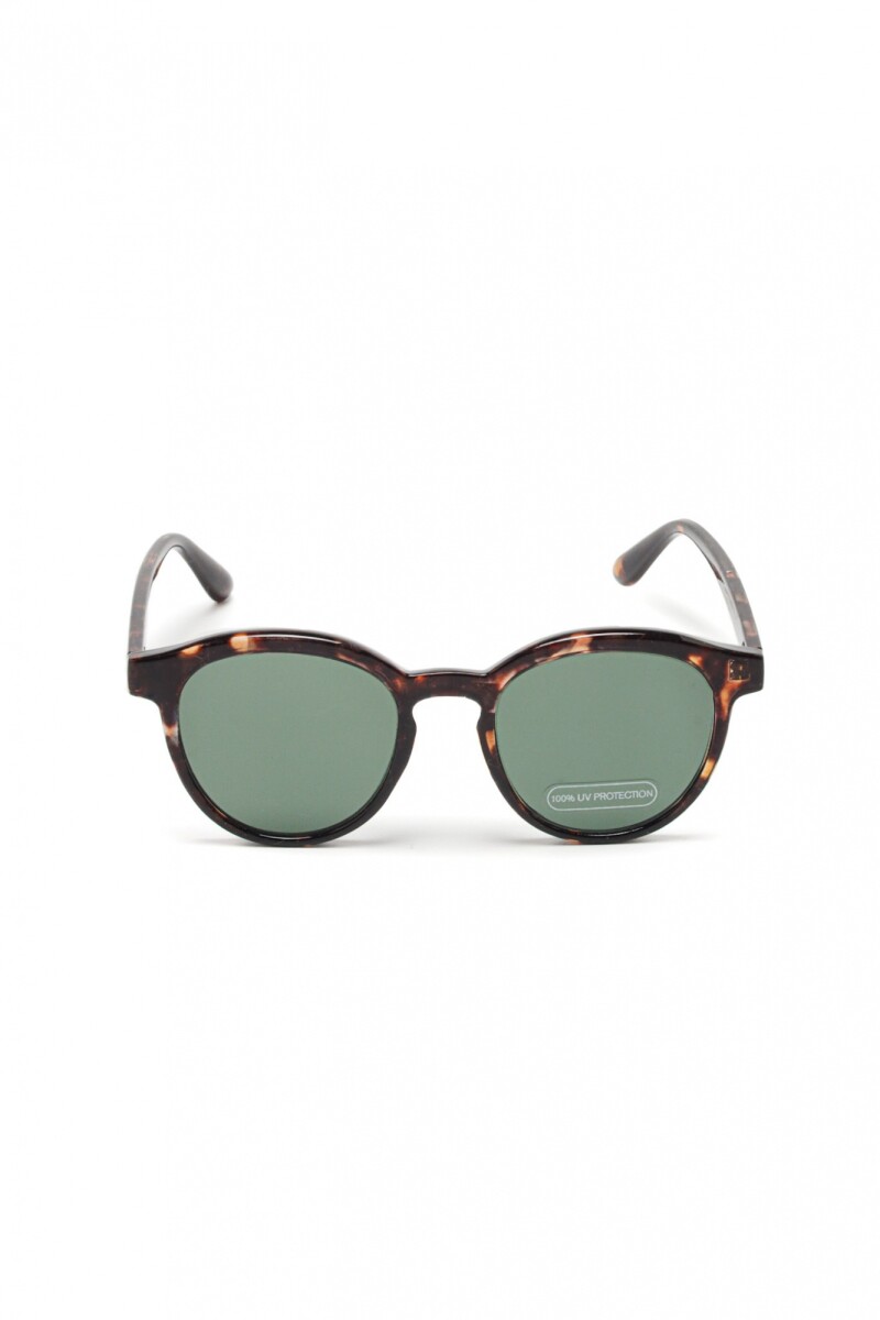 Lentes de sol Wabi - Carey 