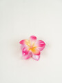 Pinza De Pelo Amaru Rosa