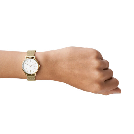 Reloj Skagen Fashion Acero Oro 0