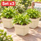 Set x3 Maceta cuadrada 3,8 lts ARENA