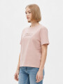Remera Esquivel Estampado 4