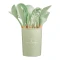 Set Utensilios Cocina Inicial Silicona Madera Plus Gourmet Verde Claro