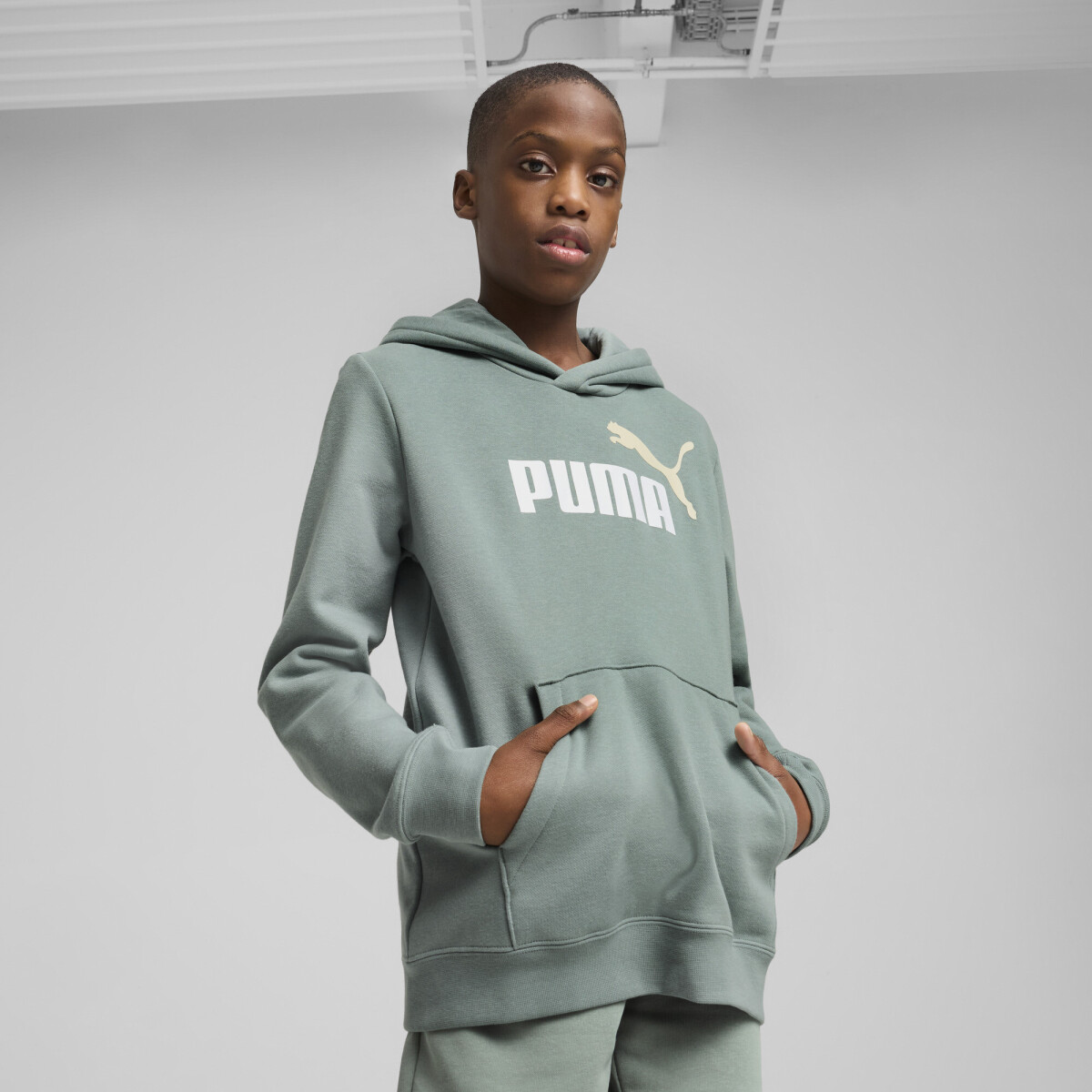 ESS 2 COLOR Nş1 logo Hoodie FL B 68582230 - Verde 
