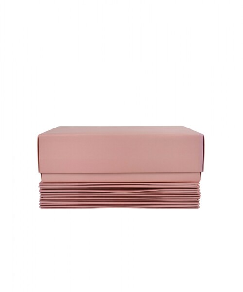 Pack x 10 unid – caja 08 20x30x9 cm Laminada NUDE