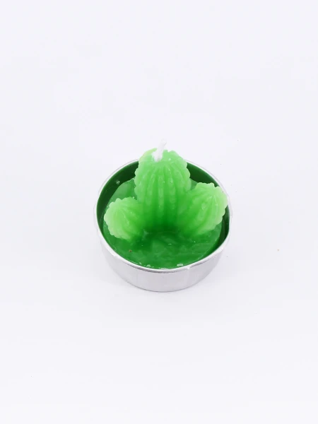 SUCULENTA VELA VARIOS CACTUS VERDE