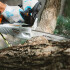Motosierra Stihl Ms 194 T Espada 35 Cm MOTOSIERRA STIHL MS 194 T