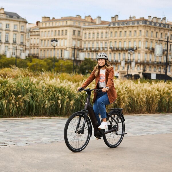 Bicicleta Electrica Gogreen City Rod 27.5 250W 36V Shimano Variante Color Negro