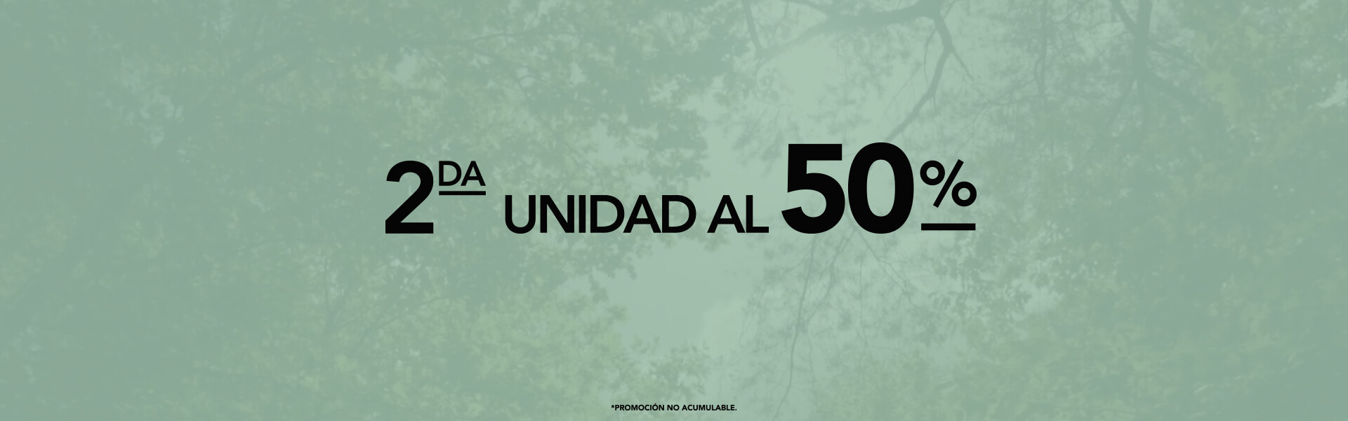 Plantilla HomeSlider con Video