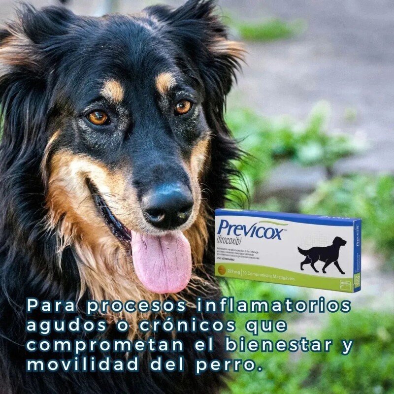 PREVICOX 227 MG 10 COMPRIMIDOS PREVICOX 227 MG 10 COMPRIMIDOS