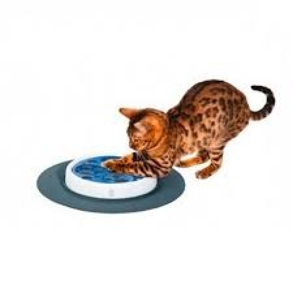 CAT IT DESING SENSES RASCADOR CAT IT DESING SENSES RASCADOR