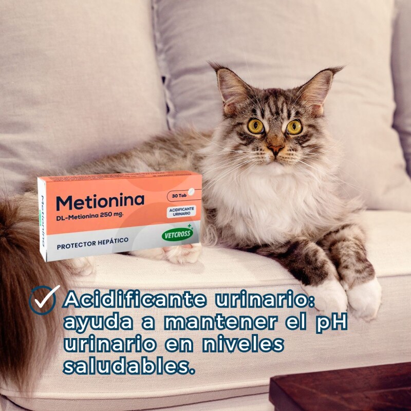METIONINA X CAJA DE 30 COMPRIMIDOS METIONINA X CAJA DE 30 COMPRIMIDOS