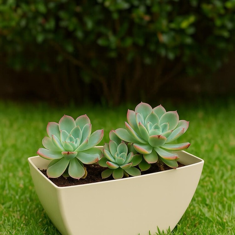 MACETA JARDINERA RECTANGULAR FLORATTA NR 30 5,3LTS GRIS