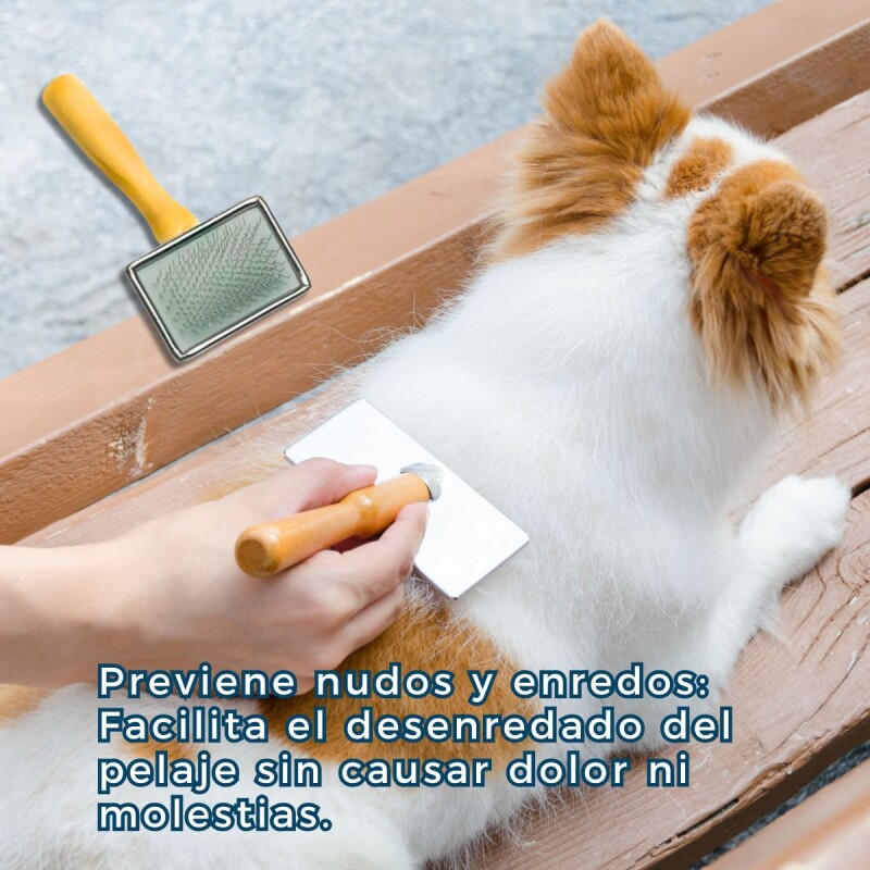 CARDINA PARA PERROS PET FUNNY 12x6 CM CARDINA PARA PERROS PET FUNNY 12x6 CM