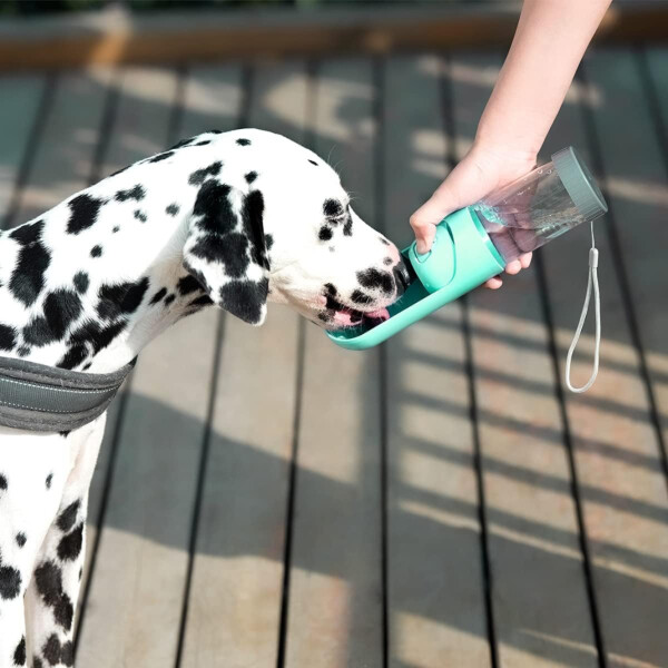 Bebedero Portatil Botella Agua Paseos Mascotas Perro Gato Variante Color Rosa