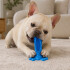 Juguete Para Perros Dental Ventosa Anti Sarro Resistente Color Azul