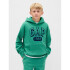 VTG SOFT BAGGY HOOD LOGO IRISH CLOVER