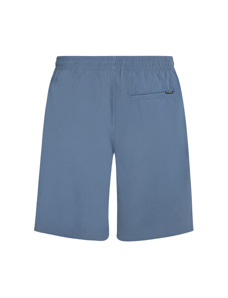 Short O'Neill Retro Print Azul Short O'Neill Retro Print Azul