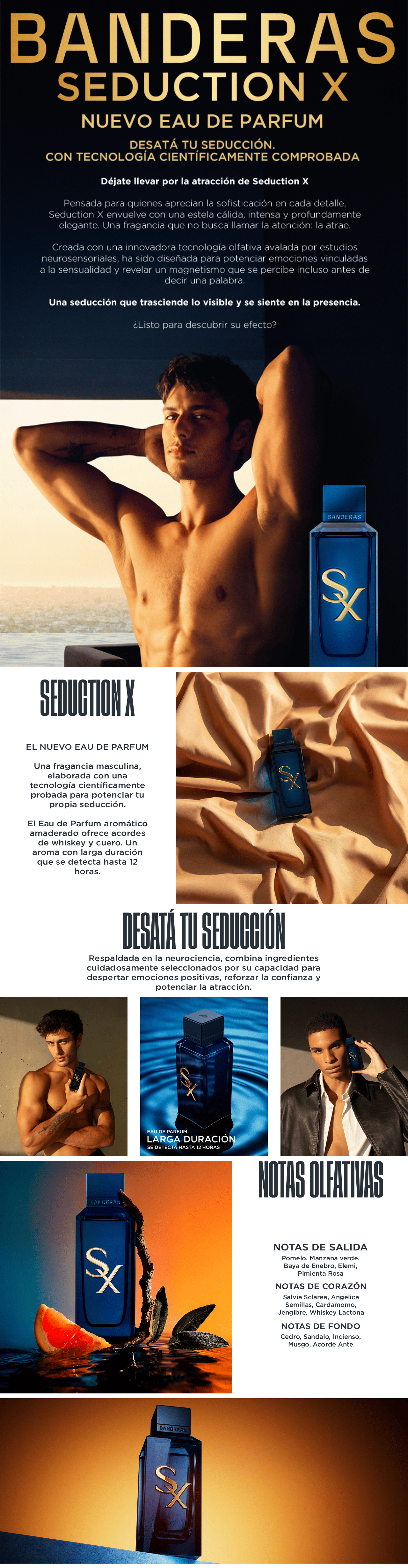 landing-page-banderas-1.png