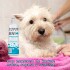 ACONDICIONADOR ANI+ CON MANTECA DE KARITÉ Y ACEITE DE ALMENDRA DULCE PARA PERROS Y GATOS 280 ML ACONDICIONADOR ANI+ CON MANTECA DE KARITÉ Y ACEITE DE ALMENDRA DULCE PARA PERROS Y GATOS 280 ML