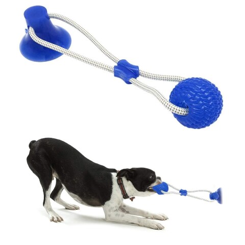 Juguete Perro Limpia Dientes Ventosa Con Cuerda Pelota Color Variante Azul