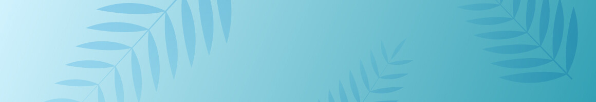 Contador Adelanto Navideño