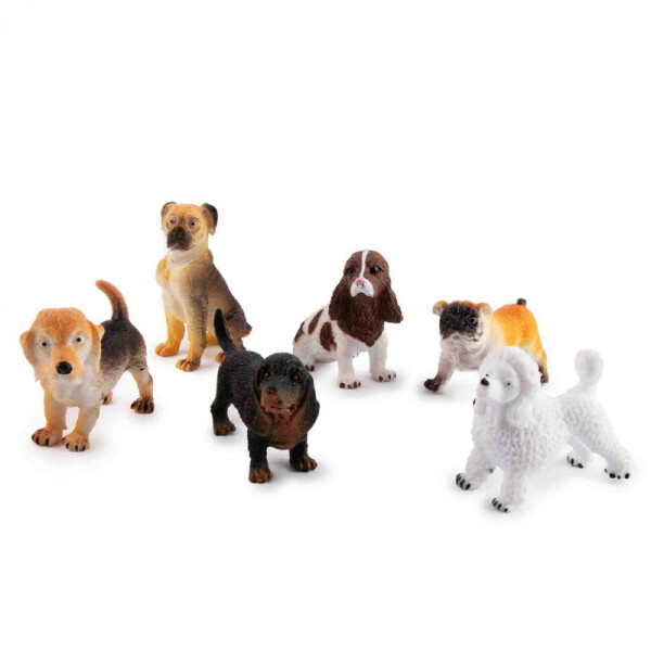 Squeeze Perritos - Apli Única