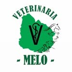 VETERINARIA MELO