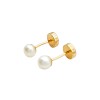 Abridores perlas cultivo- Oro Bajo- Perla Cultivo- AB8021 Conperla