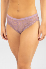 Colaless gazania Lila