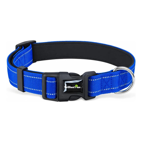 Collar Para Mascotas Talle M Refractario AZUL