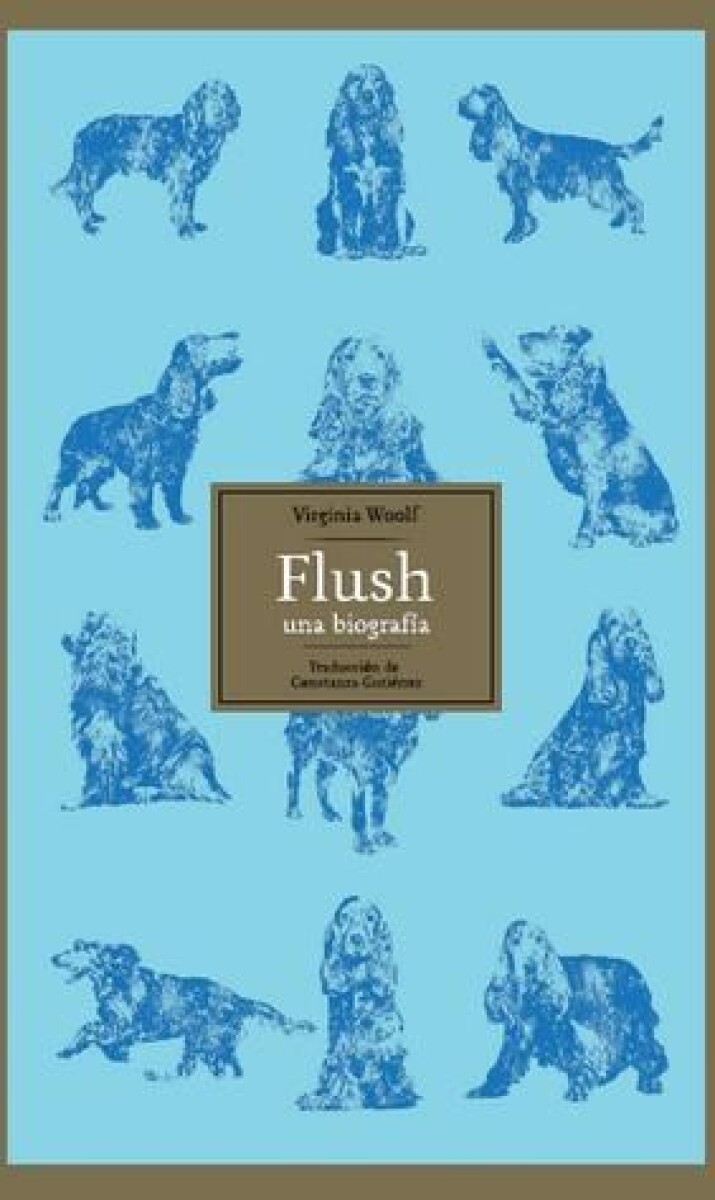 Flush 