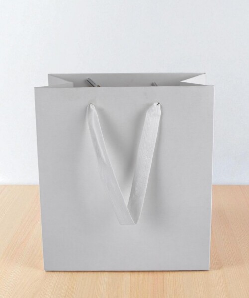 Bolsa cartulina eco 18x10x20 cm BLANCO