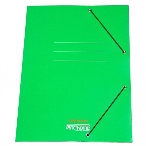 CARPETA CON ELASTICO PREMIUM 309 COLOR VERDE CARPETA CON ELASTICO PREMIUM 309 COLOR VERDE
