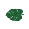 Alfombra Leaf Verde