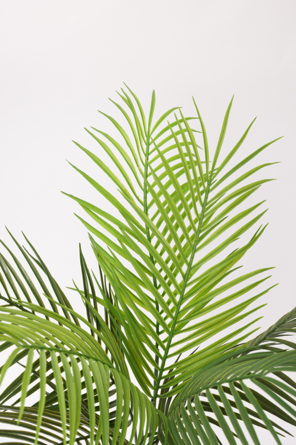 Planta Palmera Areca 80cm Color Unico