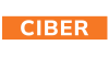 CiBERFEST