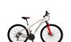 Bicicleta ALPINA MAN - Rodado 29 - Baccio Blanco